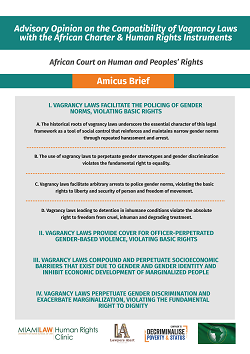 Advisory Opinion on the Compatibility of Vagrancy Laws with African Charter and Human Rights Instruments