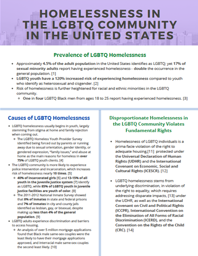 2021.06.04_LGBTQ Homelessness in the US Factsheet_v.7